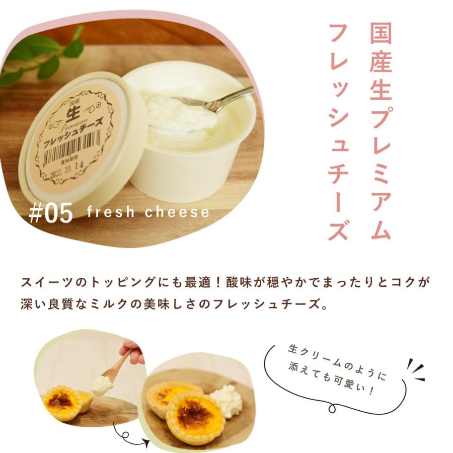犬 おやつ  誕生日 ハッピーバースデー スイーツたっぷりセット 手作りスイーツとフレッシュチーズ 5種（計10個）ハウンドカム食堂 ※お名前入れ不可 冷凍便 | 帝塚山ハウンドカム | 06