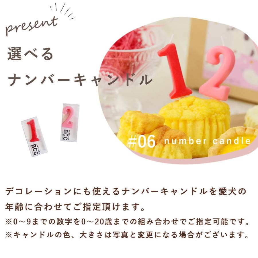 犬 おやつ  誕生日 ハッピーバースデー スイーツたっぷりセット 手作りスイーツとフレッシュチーズ 5種（計10個）ハウンドカム食堂 ※お名前入れ不可 冷凍便 | 帝塚山ハウンドカム | 07