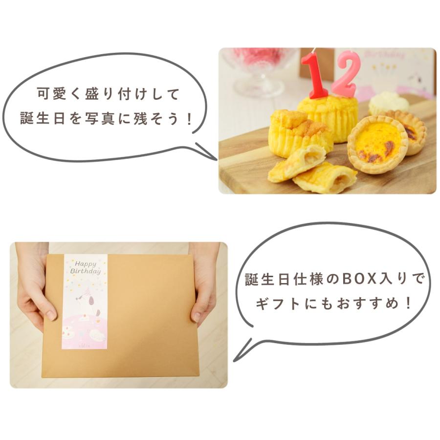 犬 おやつ  誕生日 ハッピーバースデー スイーツたっぷりセット 手作りスイーツとフレッシュチーズ 5種（計10個）ハウンドカム食堂 ※お名前入れ不可 冷凍便 | 帝塚山ハウンドカム | 08