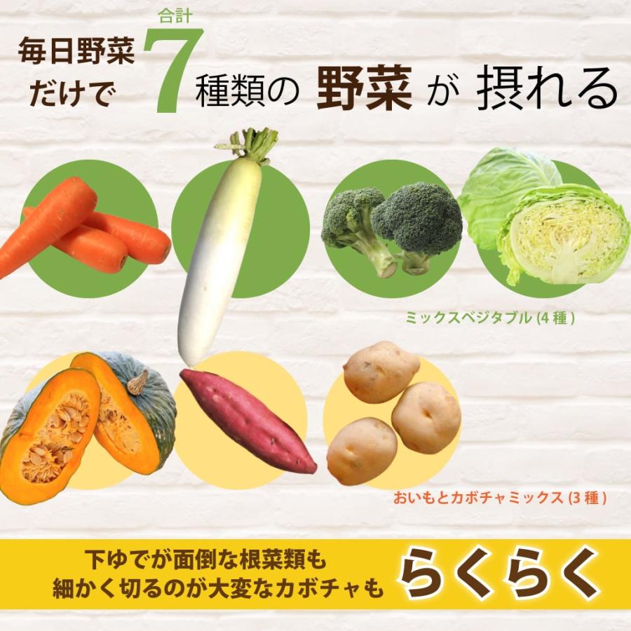 犬猫用 スープと野菜のセット 冷凍配送  まぜるだけ手作り食シリーズ 毎日スープ 毎日野菜 | 帝塚山ハウンドカム | 14