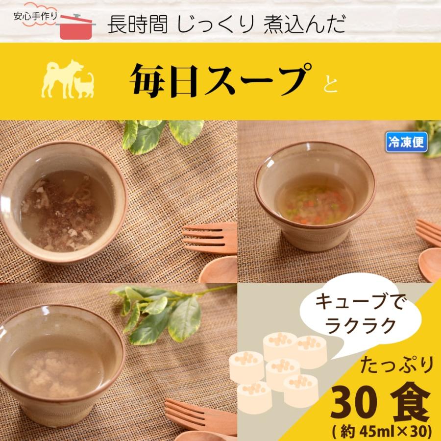 犬猫用 スープと野菜のセット 冷凍配送  まぜるだけ手作り食シリーズ 毎日スープ 毎日野菜 | 帝塚山ハウンドカム | 01
