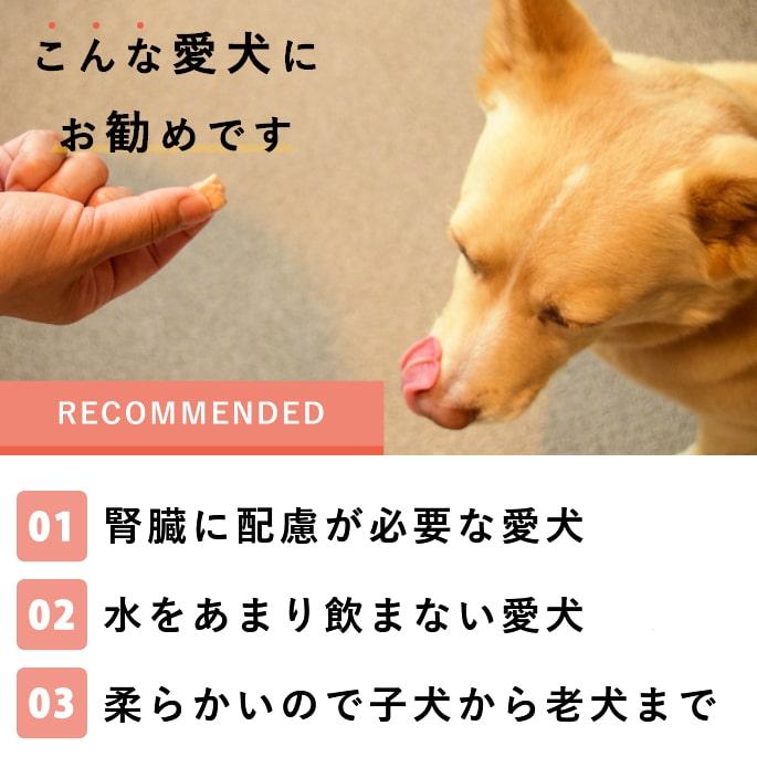 犬 おやつ チーズ 猫 ウェット ジャーキー チーズ 魚 低脂肪 手作り とっておきのひとくちテリーヌ チーズとタラ 100g×10袋＋1袋 ハウンドカム食堂 冷凍便 | 帝塚山ハウンドカム | 10