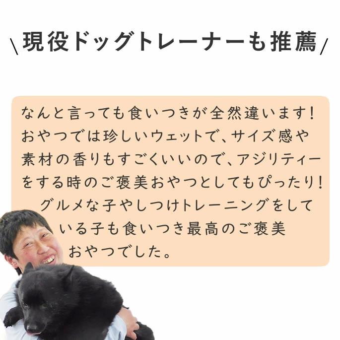 犬 おやつ チーズ 猫 ウェット ジャーキー チーズ 魚 低脂肪 手作り とっておきのひとくちテリーヌ チーズとタラ 100g×10袋＋1袋 ハウンドカム食堂 冷凍便 | 帝塚山ハウンドカム | 12