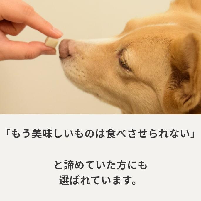 犬 おやつ チーズ 猫 ウェット ジャーキー チーズ 魚 低脂肪 手作り とっておきのひとくちテリーヌ チーズとタラ 100g×10袋＋1袋 ハウンドカム食堂 冷凍便 | 帝塚山ハウンドカム | 02