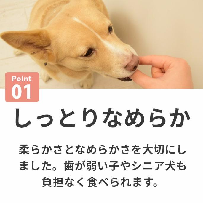 犬 おやつ チーズ 猫 ウェット ジャーキー チーズ 魚 低脂肪 手作り とっておきのひとくちテリーヌ チーズとタラ 100g×10袋＋1袋 ハウンドカム食堂 冷凍便 | 帝塚山ハウンドカム | 05