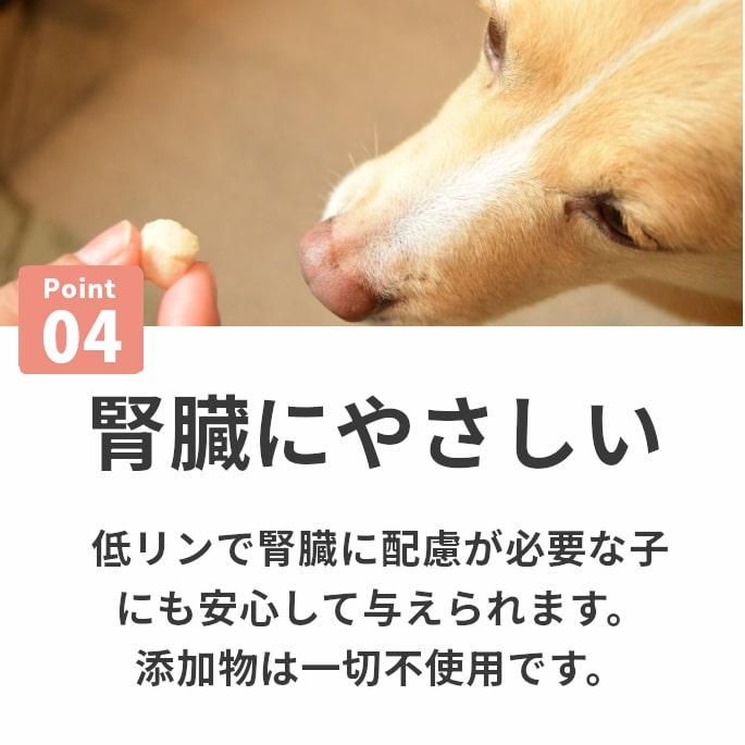 犬 おやつ チーズ 猫 ウェット ジャーキー チーズ 魚 低脂肪 手作り とっておきのひとくちテリーヌ チーズとタラ 100g×10袋＋1袋 ハウンドカム食堂 冷凍便 | 帝塚山ハウンドカム | 08