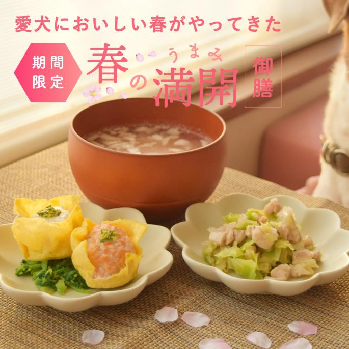 春季限定  愛犬用手作りごはん 春のうまみ満開御膳 ハウンドカム食堂  冷凍便 |  | 01