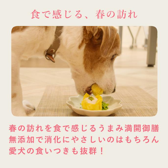 春季限定  愛犬用手作りごはん 春のうまみ満開御膳 ハウンドカム食堂  冷凍便 |  | 02