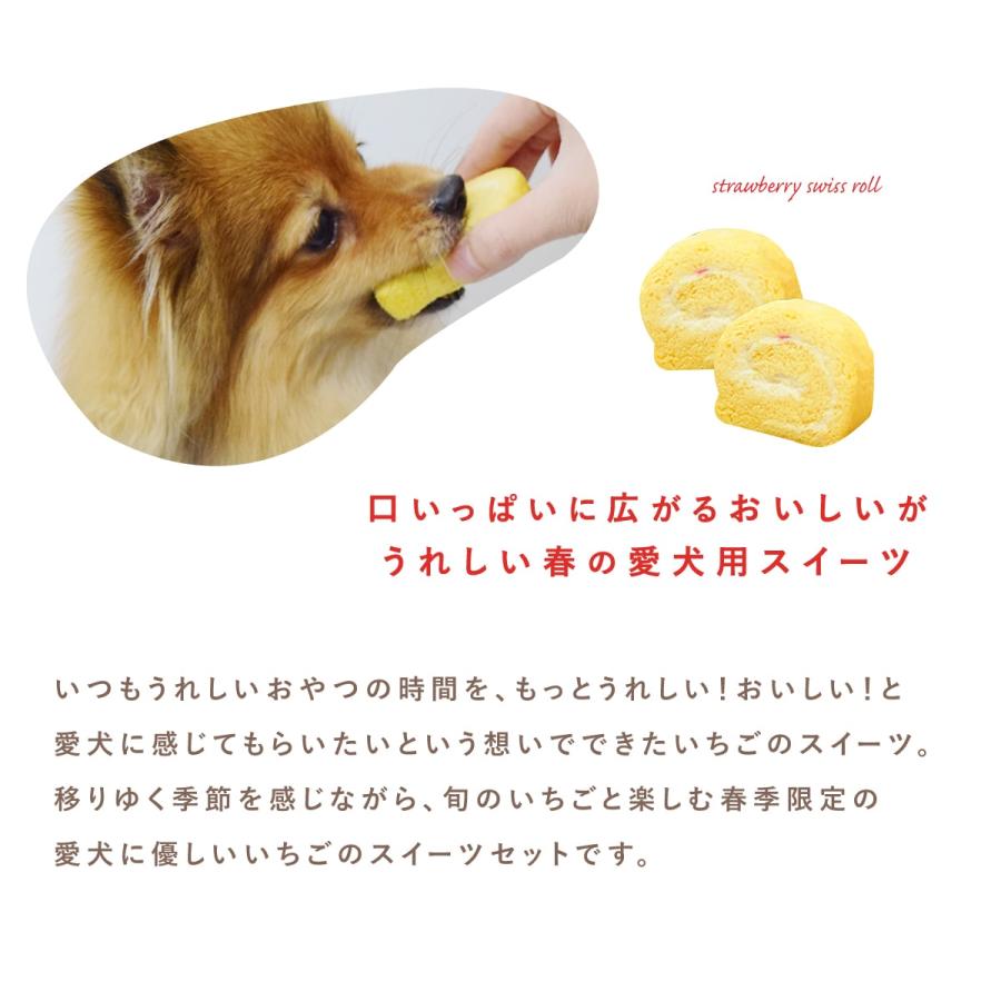 春季限定  愛犬用スイーツ いちごロールケーキといちごスフレの贅沢スイーツセットハウンドカム食堂  冷凍便 |  | 02