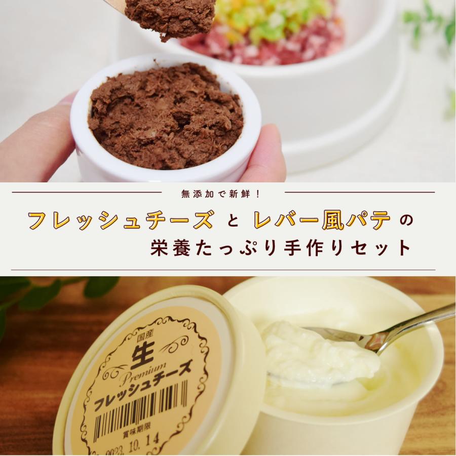 愛犬愛猫用 フレッシュチーズとレバー風パテの栄養たっぷり手作りセット 各2個 冷凍便 | 帝塚山ハウンドカム | 01