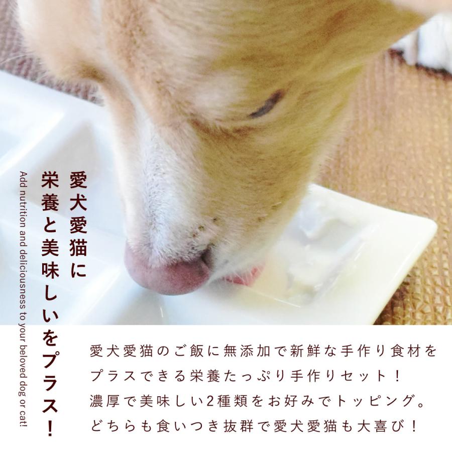 愛犬愛猫用 フレッシュチーズとレバー風パテの栄養たっぷり手作りセット 各2個 冷凍便 | 帝塚山ハウンドカム | 02