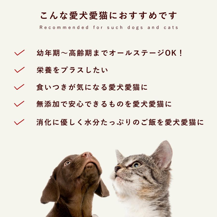 愛犬愛猫用 フレッシュチーズとレバー風パテの栄養たっぷり手作りセット 各2個 冷凍便 | 帝塚山ハウンドカム | 05