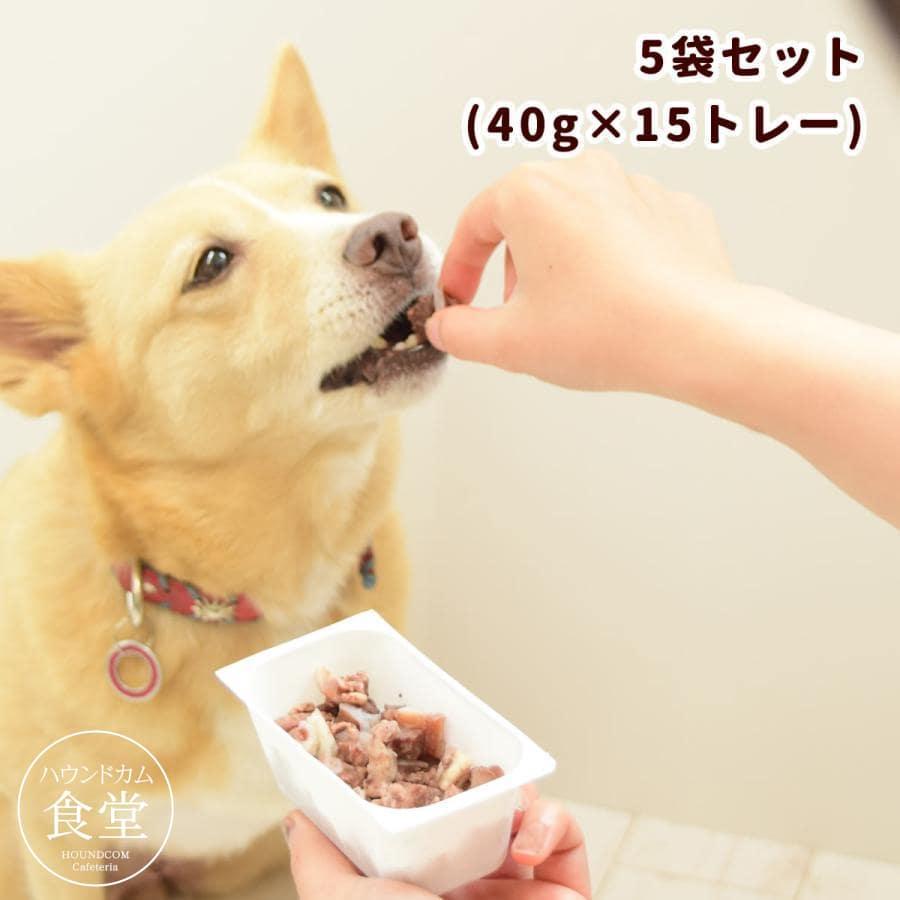 犬 おやつ 猫 無添加 軟骨 低リン 消化にやさしい 近江牛のコロコロなんこつ 5袋（40g×15個セット）ハウンドカム食堂 冷凍便 | 帝塚山ハウンドカム | 08