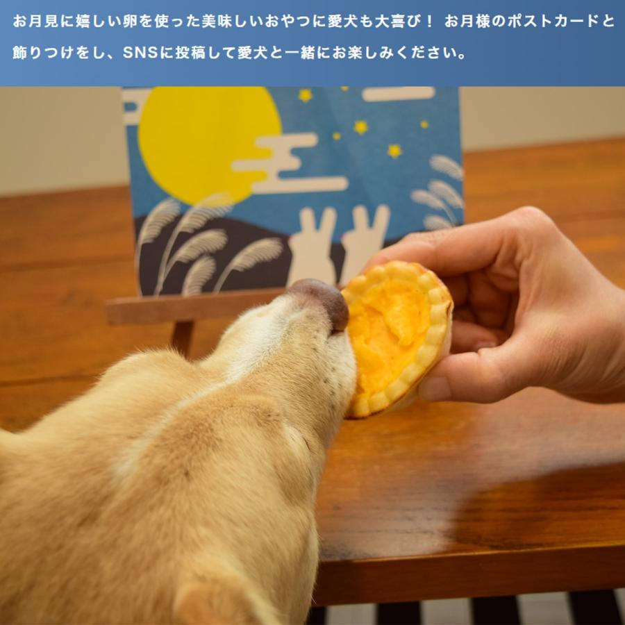 期間限定 愛犬用 お月見おやつセット 犬 月見 季節限定 おやつ 無添加 安心 ヘルシー ハウンドカム食堂 冷凍便 |  | 05