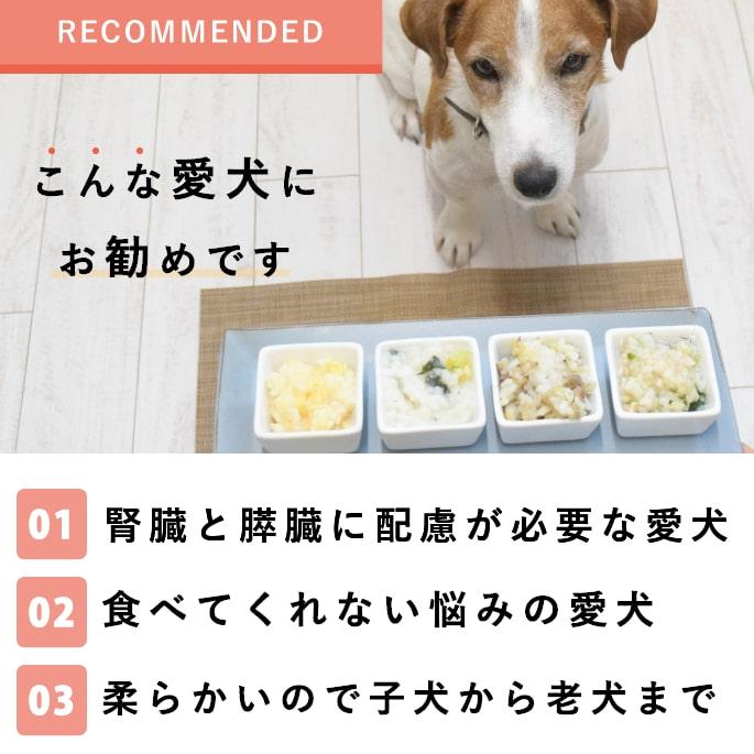 帝塚山ハウンドカム 愛犬用手作り食 腎臓と膵臓に優しい低リン低