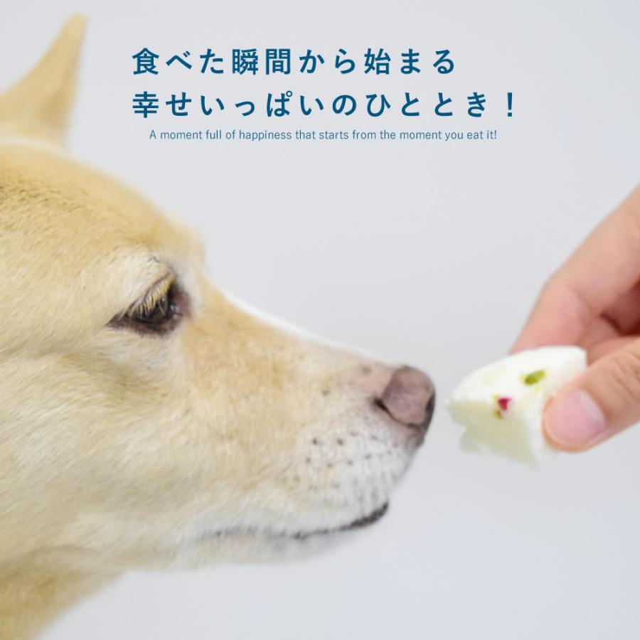 愛犬用おやつ 低リン 犬 腎臓 に配慮 おやつ ギフト 誕生日 砂糖不使用 しっとりヨーグルトケーキ ハウンドカム食堂 冷凍便 | 帝塚山ハウンドカム | 01