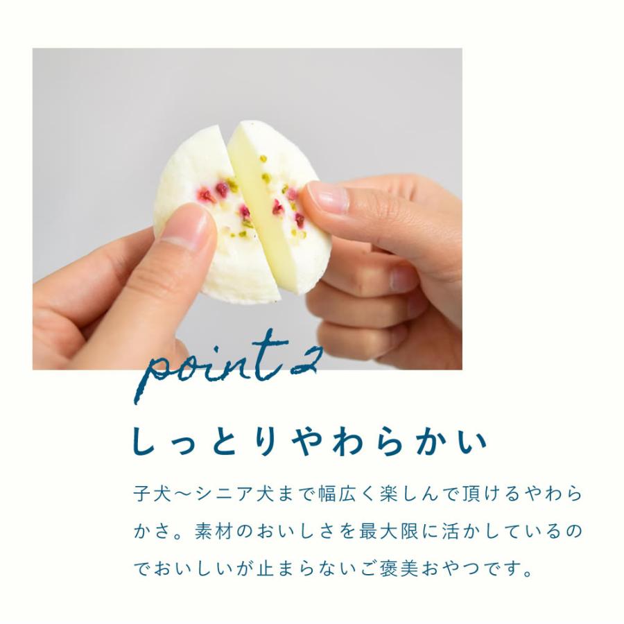 愛犬用おやつ 低リン 犬 腎臓 に配慮 おやつ ギフト 誕生日 砂糖不使用 しっとりヨーグルトケーキ ハウンドカム食堂 冷凍便 | 帝塚山ハウンドカム | 03