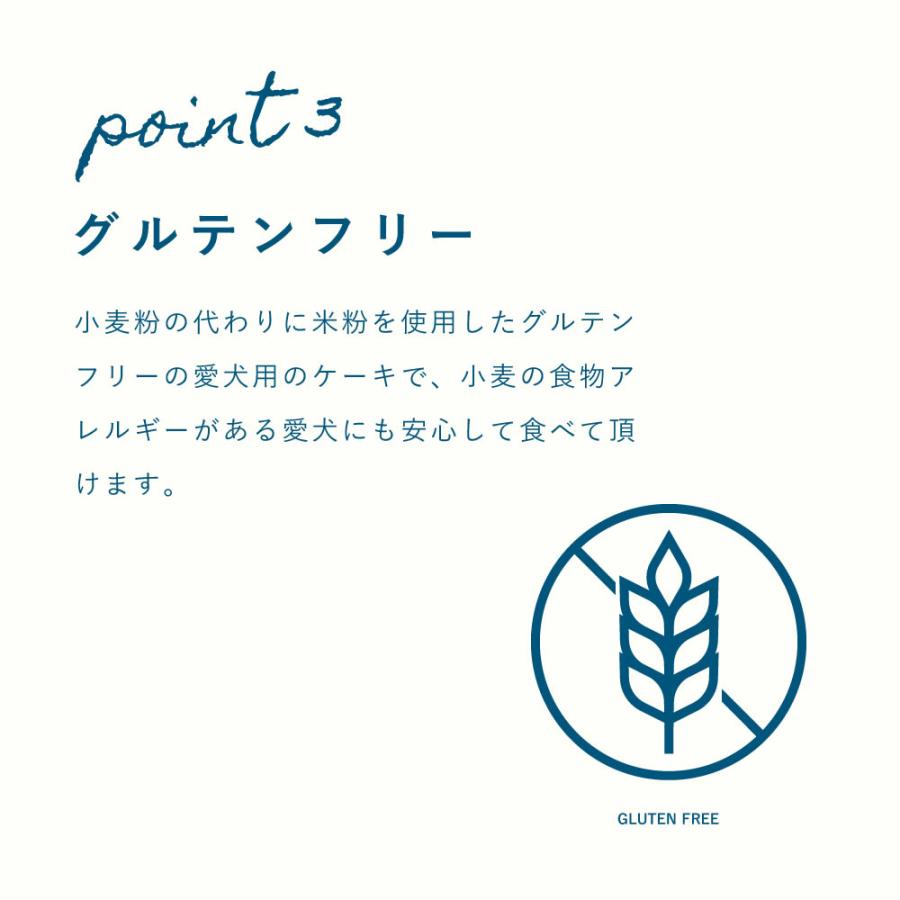 愛犬用おやつ 低リン 犬 腎臓 に配慮 おやつ ギフト 誕生日 砂糖不使用 しっとりヨーグルトケーキ ハウンドカム食堂 冷凍便 | 帝塚山ハウンドカム | 04