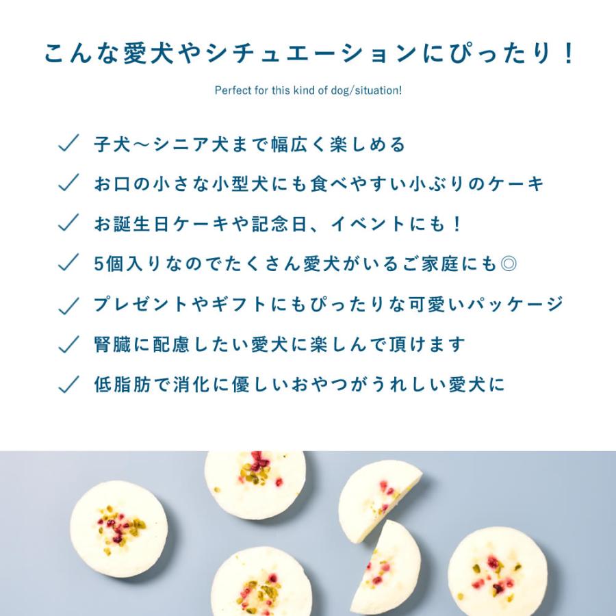 愛犬用おやつ 低リン 犬 腎臓 に配慮 おやつ ギフト 誕生日 砂糖不使用 しっとりヨーグルトケーキ ハウンドカム食堂 冷凍便 | 帝塚山ハウンドカム | 06