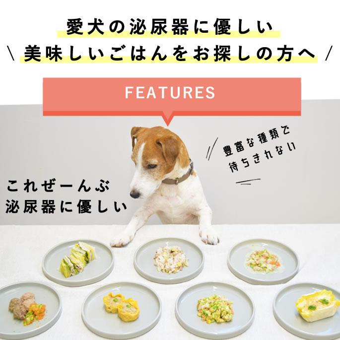 尿路ケア手作りごはん7品目セット 犬 泌尿器ケア 療法食 を 食べない愛犬に 低リン 腎臓 犬 手作り ごはん ドッグフード  ハウンドカム食堂 | 帝塚山ハウンドカム | 02