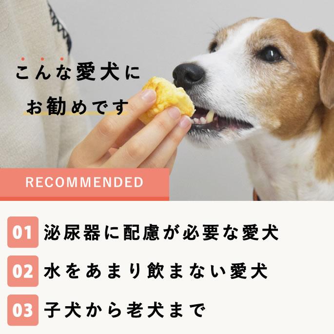 【タイムセール5％OFF】尿路ケアおやつセット【ハウンドカム食堂】【冷凍便】 | 帝塚山ハウンドカム | 14