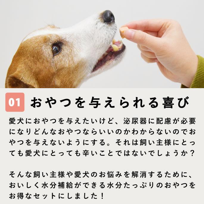 【タイムセール5％OFF】尿路ケアおやつセット【ハウンドカム食堂】【冷凍便】 | 帝塚山ハウンドカム | 02
