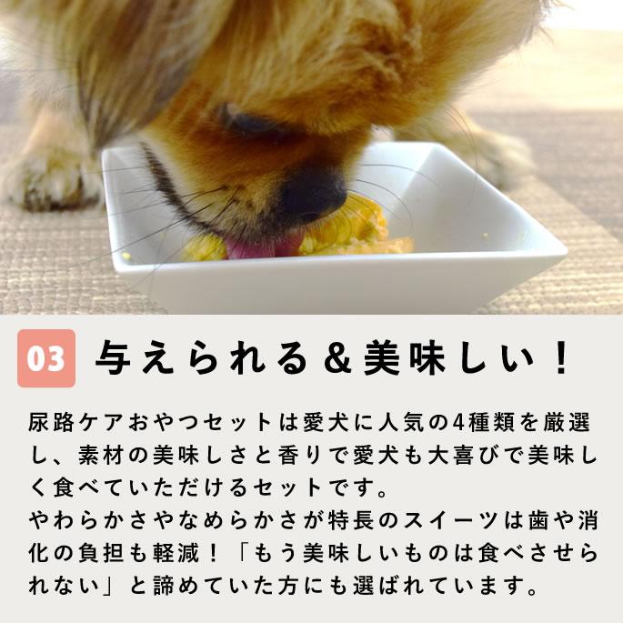 【タイムセール5％OFF】尿路ケアおやつセット【ハウンドカム食堂】【冷凍便】 | 帝塚山ハウンドカム | 04