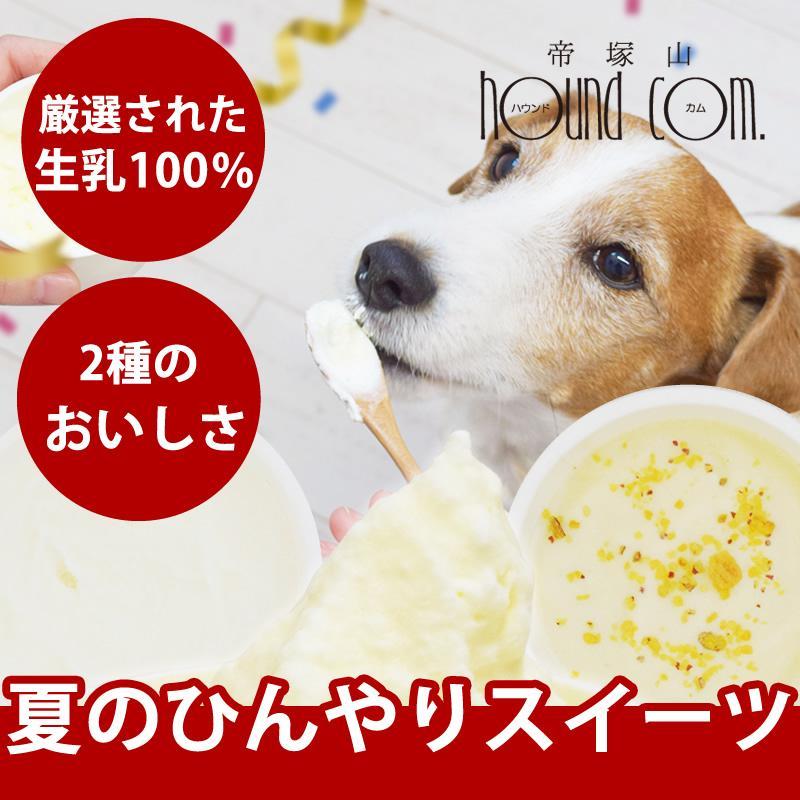 犬 アイス 濃厚ヨーグルト リッチジェラート2種6個セット【ハウンドカム食堂】 | 帝塚山ハウンドカム
