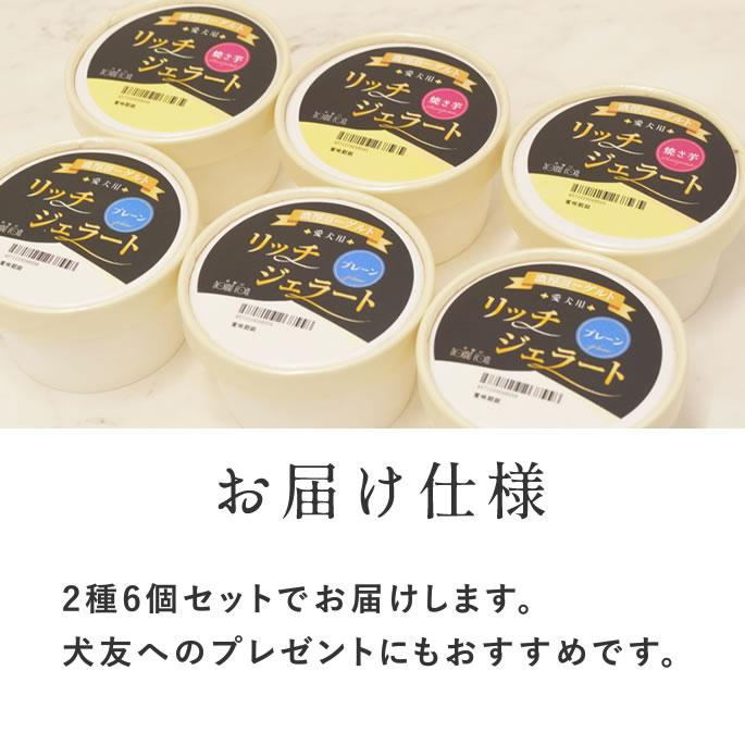 犬 アイス 濃厚ヨーグルト リッチジェラート2種6個セット【ハウンドカム食堂】 | 帝塚山ハウンドカム | 10