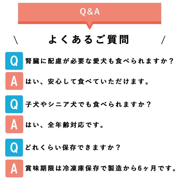 犬 アイス 濃厚ヨーグルト リッチジェラート2種6個セット【ハウンドカム食堂】 | 帝塚山ハウンドカム | 12