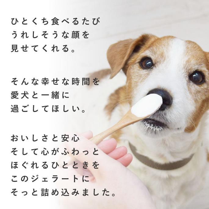 犬 アイス 濃厚ヨーグルト リッチジェラート2種6個セット【ハウンドカム食堂】 | 帝塚山ハウンドカム | 01