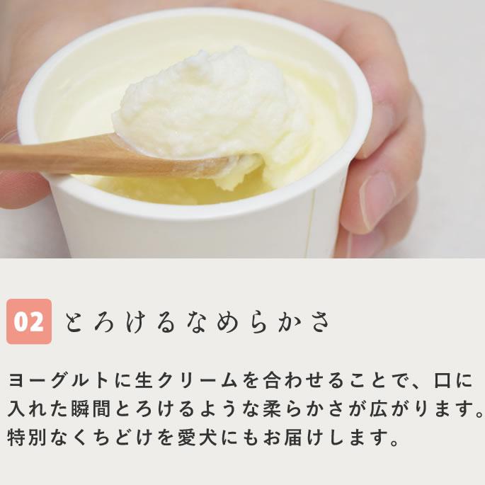 犬 アイス 濃厚ヨーグルト リッチジェラート2種6個セット【ハウンドカム食堂】 | 帝塚山ハウンドカム | 03