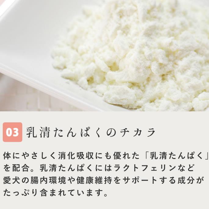 犬 アイス 濃厚ヨーグルト リッチジェラート2種6個セット【ハウンドカム食堂】 | 帝塚山ハウンドカム | 04