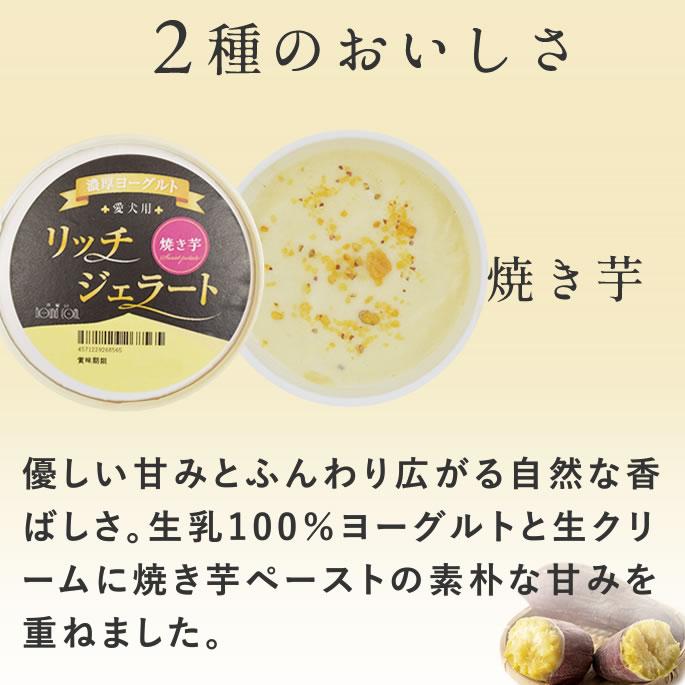 犬 アイス 濃厚ヨーグルト リッチジェラート2種6個セット【ハウンドカム食堂】 | 帝塚山ハウンドカム | 07