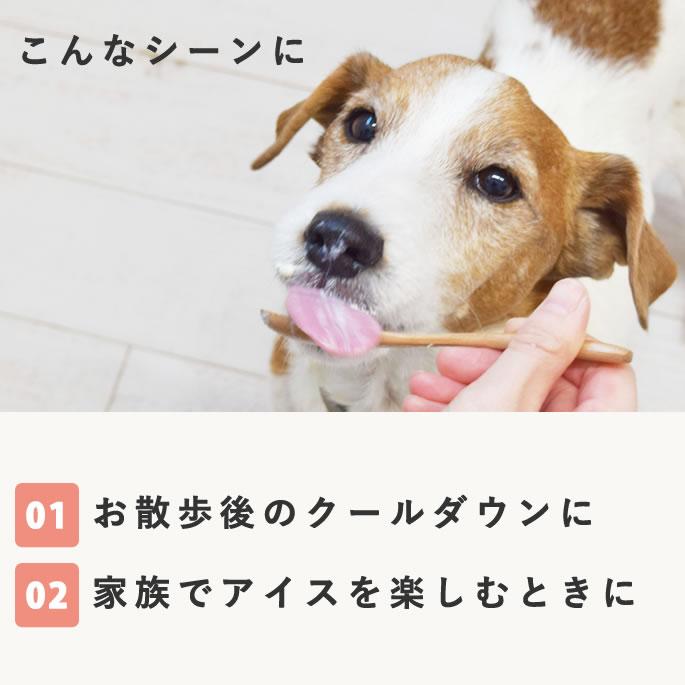 犬 アイス 濃厚ヨーグルト リッチジェラート2種6個セット【ハウンドカム食堂】 | 帝塚山ハウンドカム | 08