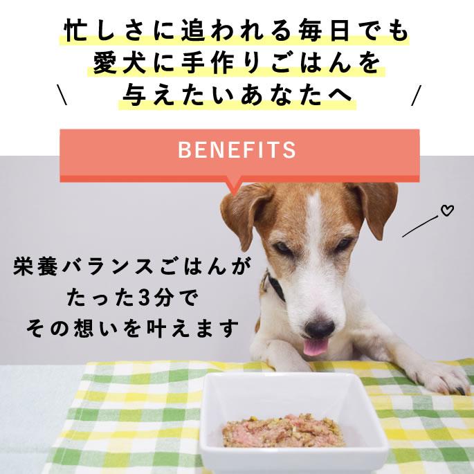 犬 手作りごはん お肉を足すだけ栄養バランスごはん 12個セット 低脂肪【ハウンドカム食堂】 | 帝塚山ハウンドカム | 01