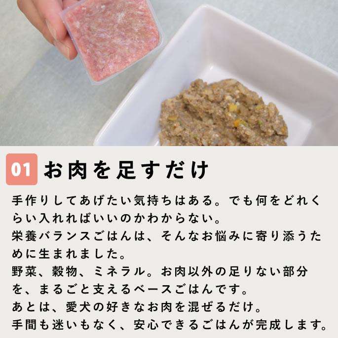 犬 手作りごはん お肉を足すだけ栄養バランスごはん 12個セット 低脂肪【ハウンドカム食堂】 | 帝塚山ハウンドカム | 04