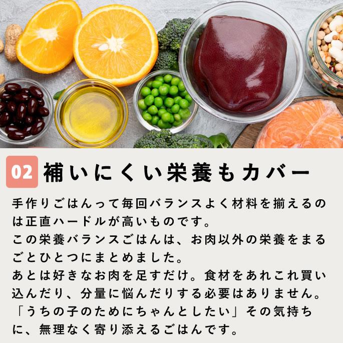 犬 手作りごはん お肉を足すだけ栄養バランスごはん 12個セット 低脂肪【ハウンドカム食堂】 | 帝塚山ハウンドカム | 05
