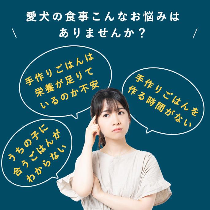 犬 手作りごはん お肉を足すだけ栄養バランスごはん 12個セット 低脂肪【ハウンドカム食堂】 | 帝塚山ハウンドカム | 09