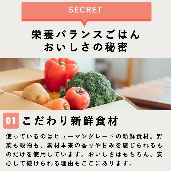 犬 手作りごはん お肉を足すだけ栄養バランスごはん 12個セット 低脂肪【ハウンドカム食堂】 | 帝塚山ハウンドカム | 10