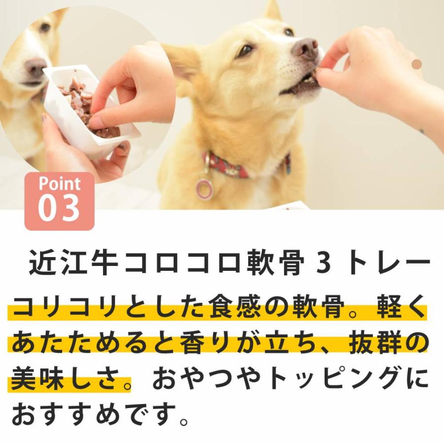 愛犬用　食べる力を支える 栄養トッピングセット【ハウンドカム食堂】【冷凍便】食べる ささえる トッピング 犬 ドッグフード　小食　偏食 サポート | 帝塚山ハウンドカム | 03