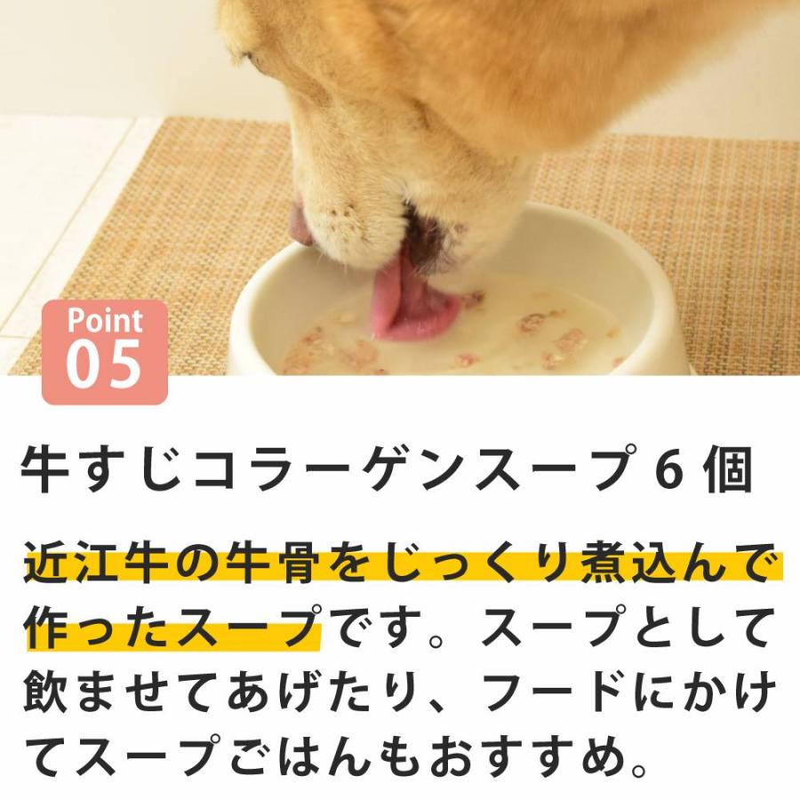 愛犬用　食べる力を支える 栄養トッピングセット【ハウンドカム食堂】【冷凍便】食べる ささえる トッピング 犬 ドッグフード　小食　偏食 サポート | 帝塚山ハウンドカム | 05