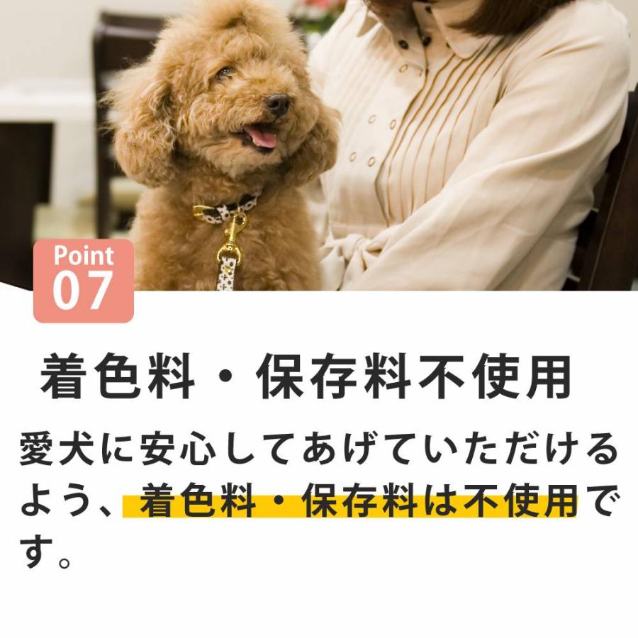 愛犬用　食べる力を支える 栄養トッピングセット【ハウンドカム食堂】【冷凍便】食べる ささえる トッピング 犬 ドッグフード　小食　偏食 サポート | 帝塚山ハウンドカム | 07