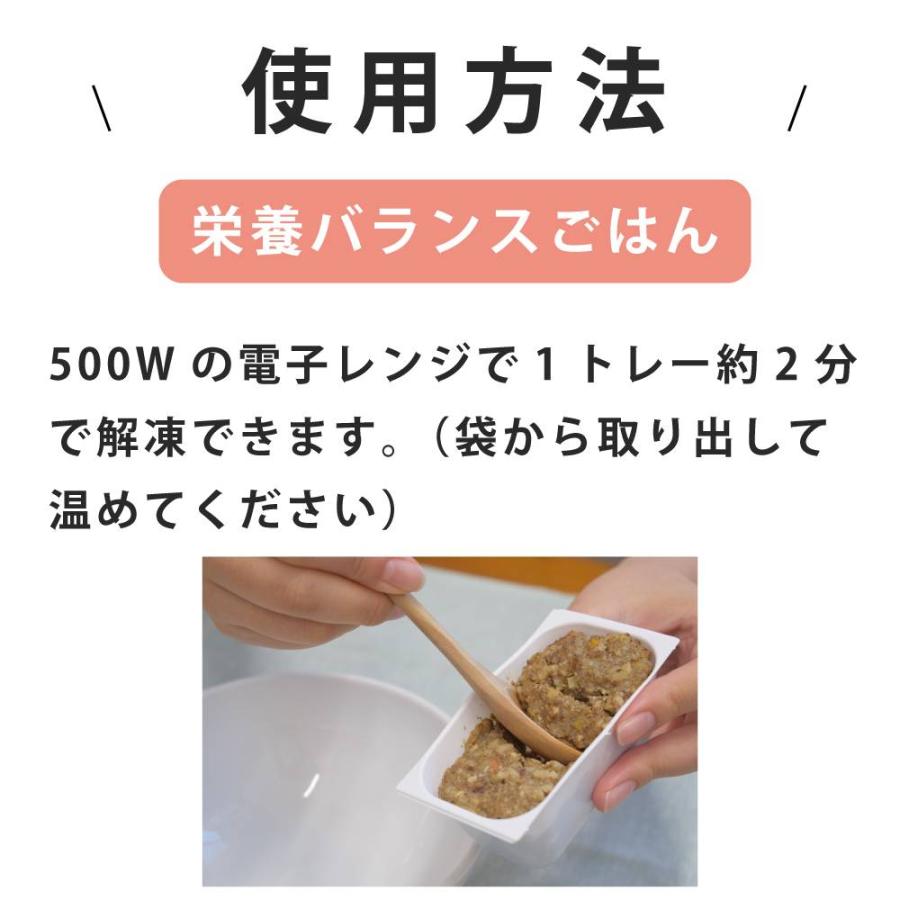 低脂肪 手作りごはんスタートキット 冷凍 | 帝塚山ハウンドカム | 15
