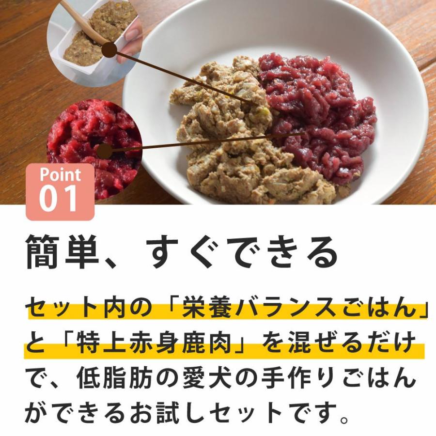 低脂肪 手作りごはんスタートキット 冷凍 | 帝塚山ハウンドカム | 02