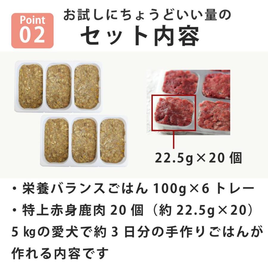 低脂肪 手作りごはんスタートキット 冷凍 | 帝塚山ハウンドカム | 03