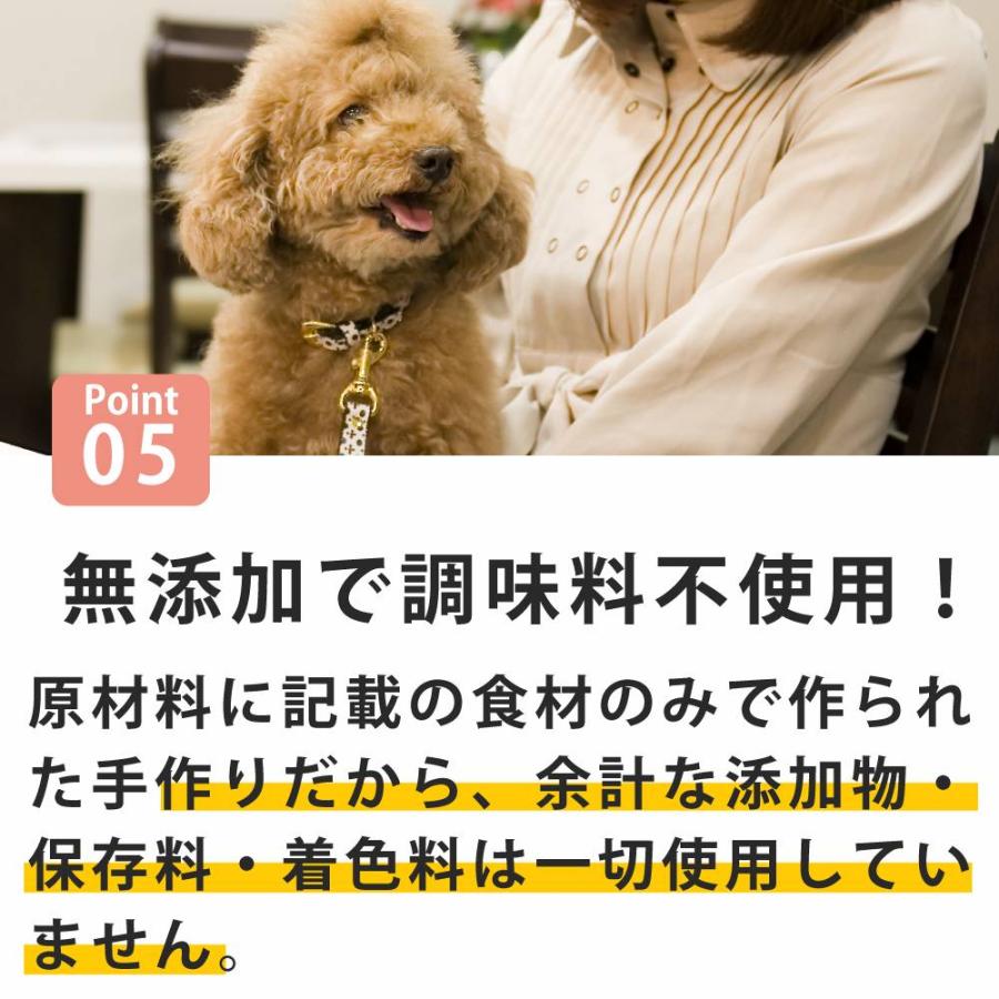低脂肪 手作りごはんスタートキット 冷凍 | 帝塚山ハウンドカム | 06