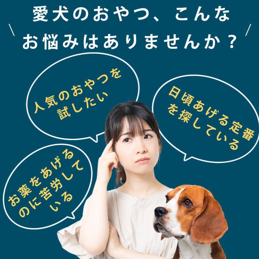 人気スイーツベスト3セット（アップルパイ付き）【ハウンドカム食堂】【冷凍便】 | 帝塚山ハウンドカム | 10