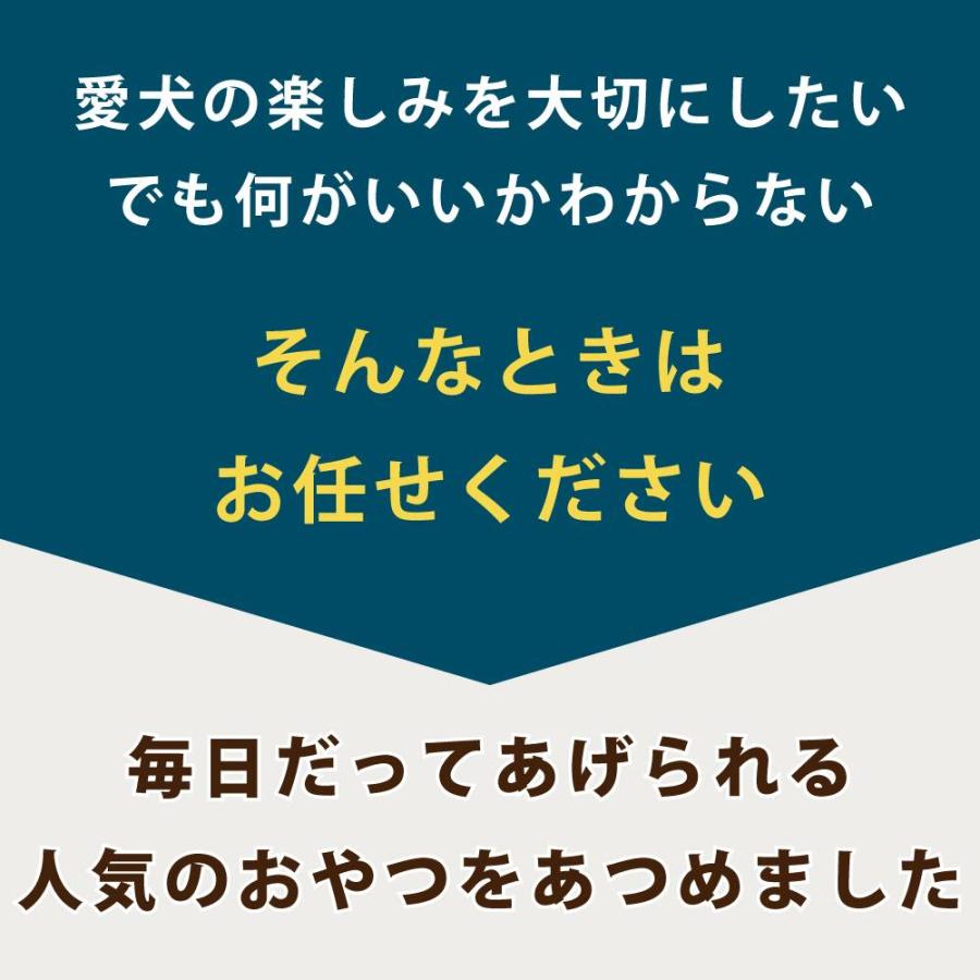 人気スイーツベスト3セット（アップルパイ付き）【ハウンドカム食堂】【冷凍便】 | 帝塚山ハウンドカム | 11
