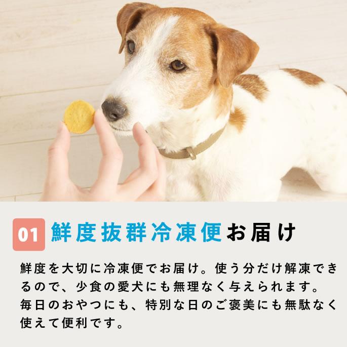 3月限定 おやつギフトパックがお得！ちょっとずつ楽しめるスイーツセット【ハウンドカム食堂】【冷凍便】 | 帝塚山ハウンドカム | 14